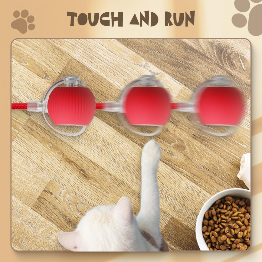 interactive ball for cats