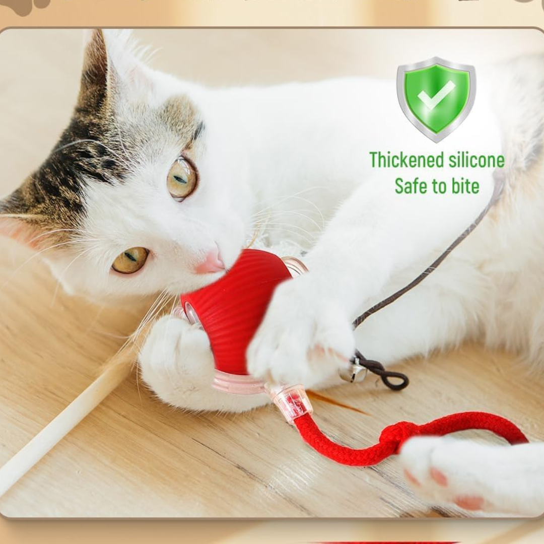 interactive ball for cats