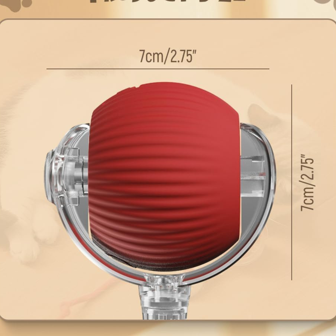 interactive ball for cats