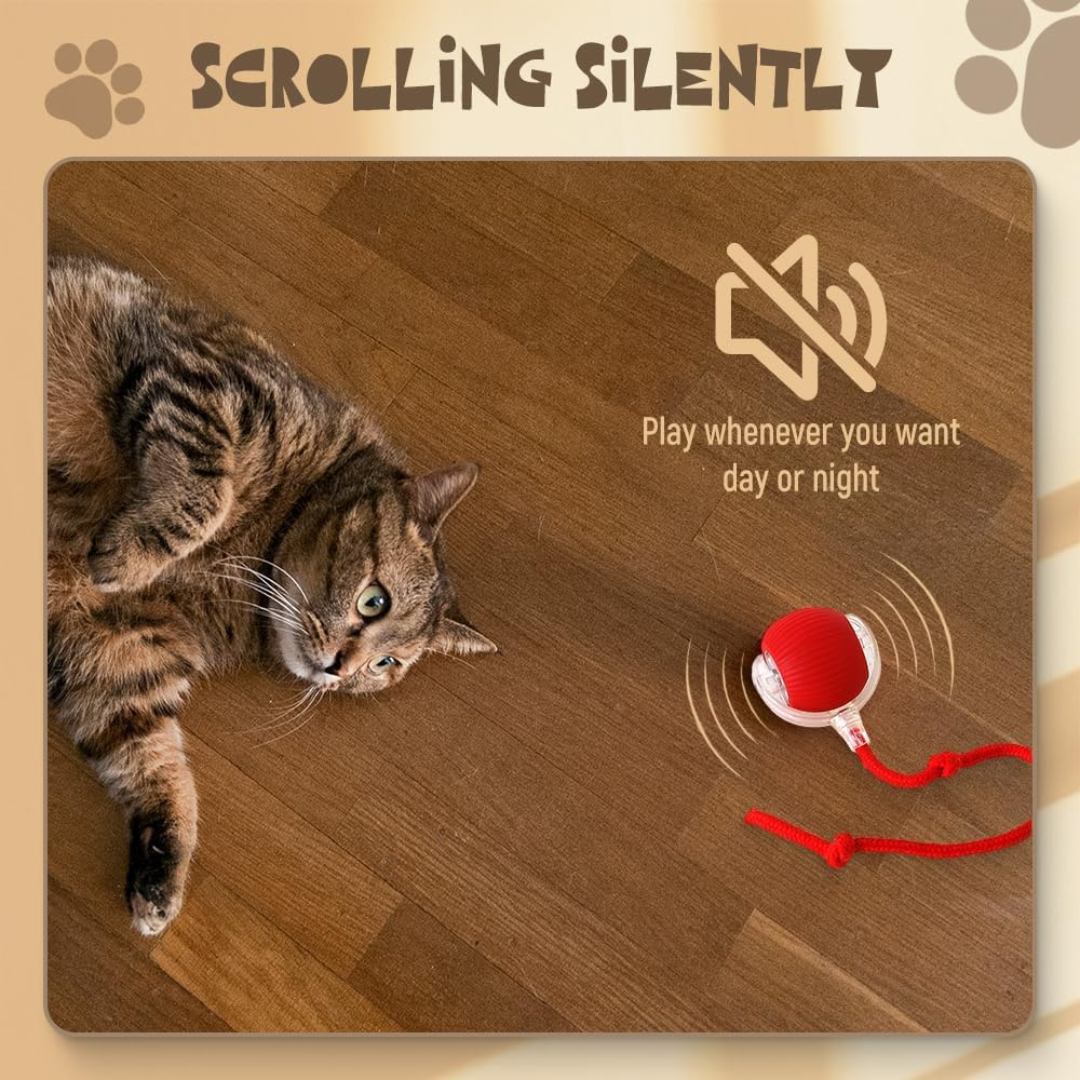 interactive ball for cats