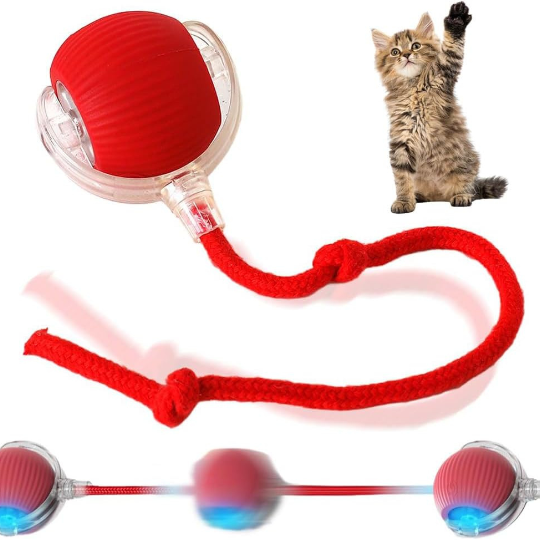 interactive ball for cats
