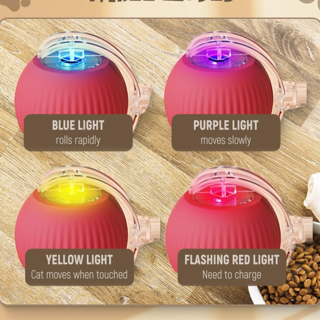 interactive ball for cats