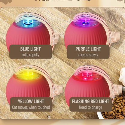interactive ball for cats